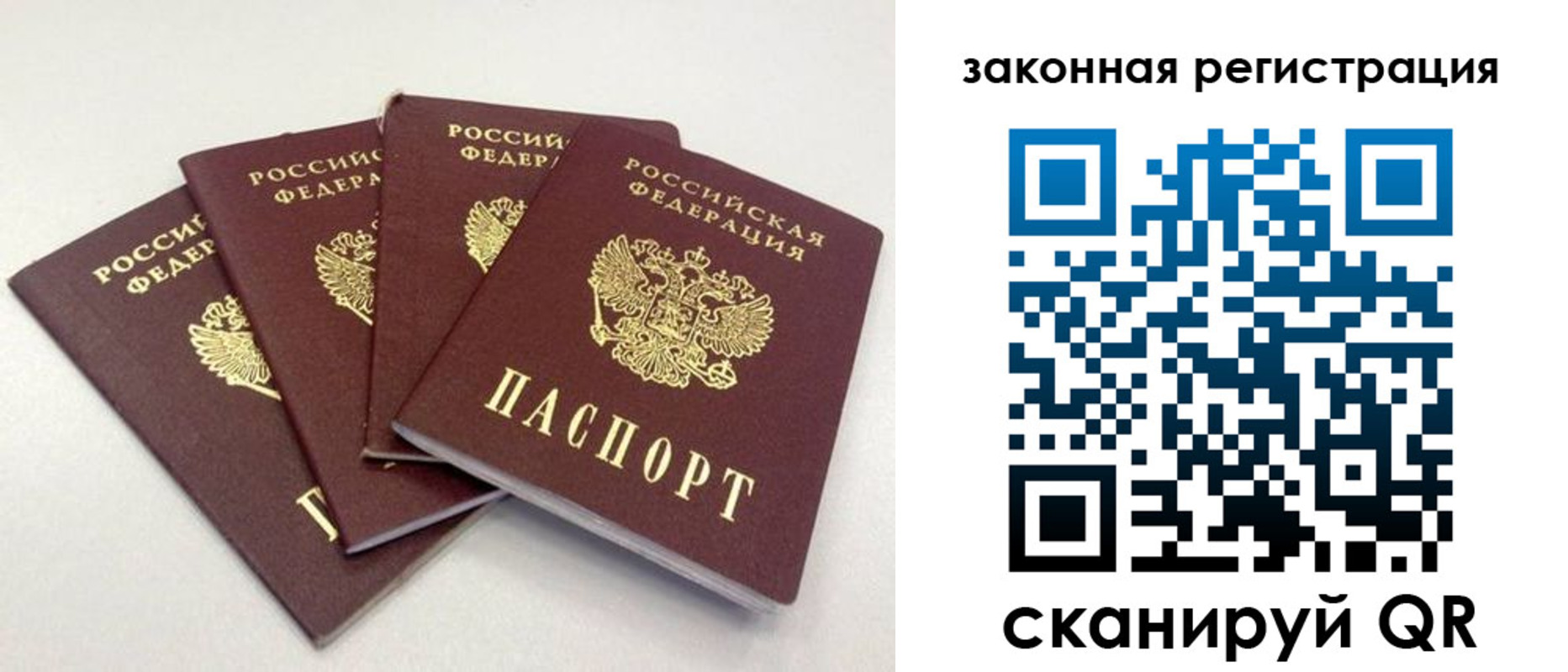 временная прописка в Палласовке